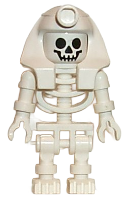 Skeleton with Standard Skull