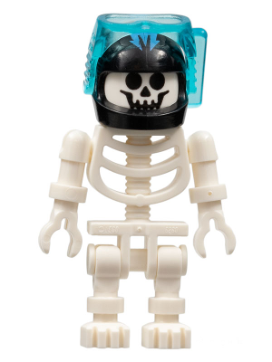 Skeleton with Standard Skull