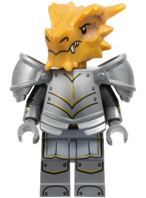 Dragonborn Paladin