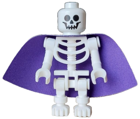 Skeleton - Standard Skull